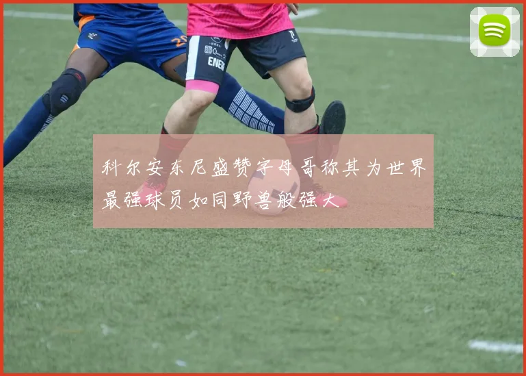 科尔安东尼盛赞字母哥称其为世界最强球员如同野兽般强大