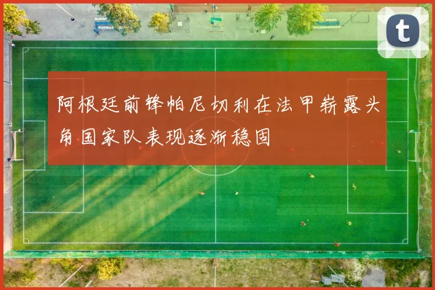 阿根廷前锋帕尼切利在法甲崭露头角国家队表现逐渐稳固