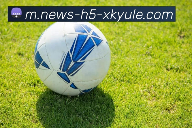 星空体育发展历程